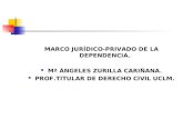 MARCO JURÍDICO-PRIVADO DE LA DEPENDENCIA. Mª ÁNGELES ZURILLA CARIÑANA. PROF.TITULAR DE DERECHO CIVIL UCLM.