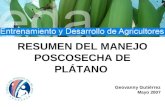 Cosecha y Manejo Postcosecha del Cultivo del Plátano Geovanny Gutiérrez Mayo 2007 RESUMEN DEL MANEJO POSCOSECHA DE PLÁTANO.