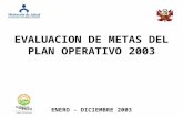 EVALUACION DE METAS DEL PLAN OPERATIVO 2003 ENERO - DICIEMBRE 2003.