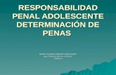 RESPONSABILIDAD PENAL ADOLESCENTE DETERMINACIÓN DE PENAS MARÍA SOLEDAD PIÑEIRO FUENZALIDA Juez Tribunal Oral en lo Penal Valdivia.