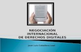 NEGOCIACIÓN INTERNACIONAL DE DERECHOS DIGITALES José Luis Caballero Leal.
