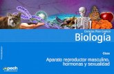 PPTCANCBBLA04011V4 Clase Aparato reproductor masculino, hormonas y sexualidad.
