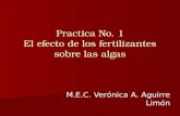 Practica No. 1 El efecto de los fertilizantes sobre las algas M.E.C. Verónica A. Aguirre Limón.