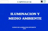 ILUMINACION Y MEDIO AMBIENTE ILUMINACION Y MEDIO AMBIENTE CAPITULO 16 CURSO DE ILUMINACION EFICIENTE 2005.