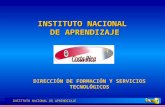 INSTITUTO NACIONAL DE APRENDIZAJE INSTITUTO NACIONAL DE APRENDIZAJE DIRECCIÓN DE FORMACIÓN Y SERVICIOS TECNOLÓGICOS.