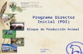 Programa Director Inicial (PDI) Universidad Central de Venezuela Facultad de Agronomía Departamento de Producción Animal Maracay Octubre, 2009 Bloque de.