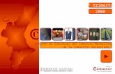08 ECCM III Informe de Coyuntura del Comercio Minorista de la Comunitat Valenciana. 3º trimestre 2008