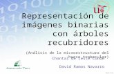 Representación de imágenes binarias con árboles recubridores (Análisis de la microestructura del hueso trabecular) Chantal de Leste Conde David Ramos Navarro.