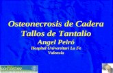 Osteonecrosis de Cadera Tallos de Tantalio Angel Peiró Hospital Universitari La Fe Valencia.