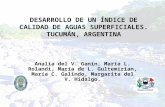 DESARROLLO DE UN ÍNDICE DE CALIDAD DE AGUAS SUPERFICIALES. TUCUMÁN, ARGENTINA Analía del V. Ganín, María L. Rolandi, María de L. Gultemirian, María C.