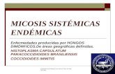 FUNDACION BARCELO FACULTAD DE MEDICINA MICOSIS SISTÉMICAS ENDÉMICAS Enfermedades producidas por HONGOS DIMÓRFICOS.De áreas geográficas definidas. HISTOPLASMA.