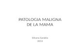 PATOLOGIA MALIGNA DE LA MAMA Silvana Sarabia 2013.