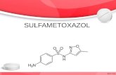 SULFAMETOXAZOL. Introducción SMX Antibiótico bacteriostático Metabolismo Hepático, vida media: 10 horas. Trimetropina 5:1.