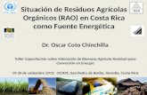 Situación de Residuos Agrícolas Orgánicos (RAO) en Costa Rica como Fuente Energética Dr. Oscar Coto Chinchilla Taller Capacitación sobre Valoración de.