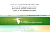 1 Alianzas para el Empoderamiento Económico (AAE) Entornos de las pequeñas unidades productivas agrícolas en Nicaragua: el caso de las cooperativas de.