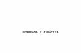 MEMBRANA PLASMÁTICA. Membrana Plasmática La membrana plasmática define la extensión de la célula y mantiene las diferencias esenciales entre el contenido.