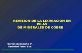 REVISION DE LA LIXIVIACION EN PILAS DE MINERALES DE COBRE Carlos Avendaño V. Sociedad Terral S.A.