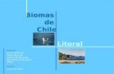 Biomas de Chile Litoral Autores Alicia Hoffmann. Pablo Sánchez. Centro de Recursos Educativos Avanzados CREA. Diseño Carolina López.
