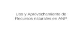 Uso y Aprovechamiento de Recursos naturales en ANP.