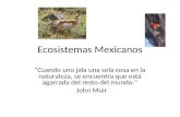 Ecosistemas Mexicanos “Cuando uno jala una sola cosa en la naturaleza, se encuentra que está agarrada del resto del mundo.” John Muir.