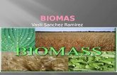 Vasti Sanchez Ramirez.  Los biomas ( zonas bioclimáticas ) son unas divisiones apropiadas para organizar el mundo natural debido a que los organismos.