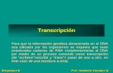 Bioquímica III Prof. Humberto González M. Transcripción Para que la información genética almacenada en el DNA sea utilizada por los organismos se requiere.