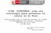 PLAN ESPERANZA: como una estrategia para enfrentar el cáncer en el Perú DIRECCION GENERAL DE SALUD DE LAS PERSONAS PLAN NACIONAL PARA LA ATENCION INTEGRAL.