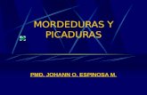 MORDEDURAS Y PICADURAS PMD. JOHANN O. ESPINOSA M..