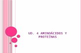 UD. 4 AMINOÁCIDOS Y PROTEÍNAS. AMINOÁCIDOS Y PROTEÍNAS COMPOSICIÓN QUÍMICA Y CLASIFICACIÓN Las proteínas son polímeros formados por la unión, mediante.