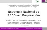 Coordinación General de Producción y ProductividadGerencia de Servicios Ambientales del Bosque Estrategia Nacional de REDD –en Preparación- Reducción de.