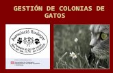 GESTIÓN DE COLONIAS DE GATOS. OBJETIVOS DE RODAGAT Promover la gestión de colonias de una forma eficiente, que haga posible la convivencia de gatos y.