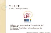 C.L.U.T. (Color LookUp Table) Máster en Ingeniería y Tecnología del Software Síntesis, Análisis y Visualización de Imágenes Miguel Velasco Gómez-Pantoja.