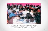 EL CICLO, FASES Y ETAPAS DE LA INVESTIGACIÓN ACCIÓN.