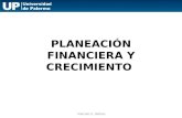 PLANEACIÓN FINANCIERA Y CRECIMIENTO Marcelo A. Delfino.