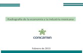 1 Radiografía de la economía y la industria mexicana Febrero de 2015.
