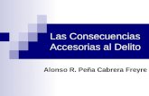 Las Consecuencias Accesorias al Delito Alonso R. Peña Cabrera Freyre.