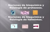Nociones de bioquímica y fisiología de protozoos.  Nociones de bioquímica y fisiología de helmintos.