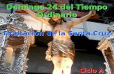 Exaltación de la Santa Cruz Domingo 24 del Tiempo Ordinario Ciclo A.