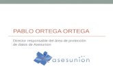 PABLO ORTEGA ORTEGA Director responsable del área de protección de datos de Asesunion.
