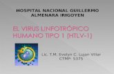 Lic. T.M. Evelyn C. Lujan Villar CTMP: 5375 HOSPITAL NACIONAL GUILLERMO ALMENARA IRIGOYEN.