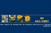 RD 661/2007 Que regula la producción de energía eléctrica en régimen especial.
