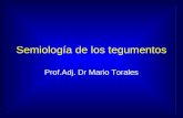 Semiología de los tegumentos Prof.Adj. Dr Mario Torales.