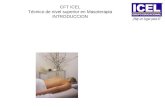 CFT ICEL Técnico de nivel superior en Masoterapia INTRODUCCION.