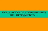EVALUACIÓN DE COMPONENTES DEL RENDIMIENTO AAF-IAA GPO 1503.