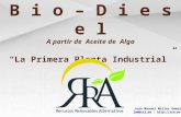 B i o – D i e s e l A partir de Aceite de Alga “La Primera Planta Industrial” Juan Manuel Moller Gámez jmm@rra.mxjmm@rra.mx ; ://rra.mx.