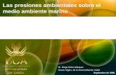 Las presiones ambientales sobre el medio ambiente marino Dr. Diego Sales Márquez Rector Mgfco. de la Universidad de Cádiz Septiembre de 2008.