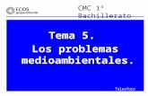 CMC 1º Bachillerato Tema 5. Los problemas medioambientales. Telesforo Zabala.