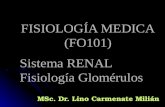 FISIOLOGÍA MEDICA (FO101) Sistema RENAL Fisiología Glomérulos MSc. Dr. Lino Carmenate Milián.