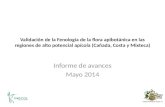 Validación de la Fenología de la flora apibotánica en las regiones de alto potencial apícola (Cañada, Costa y Mixteca) Informe de avances Mayo 2014.