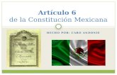 HECHO POR: CARO ANDONIE Artículo 6 de la Constitución Mexicana.